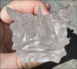 Quartz Dragon Crystal Skull with Tiny Golden Healer Hematite, Focus, Transformation