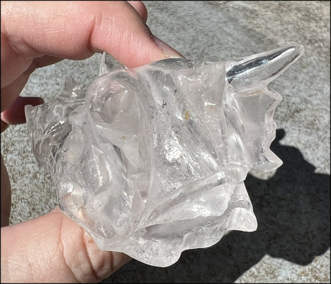 Quartz Dragon Crystal Skull with Tiny Golden Healer Hematite, Focus, Transformation