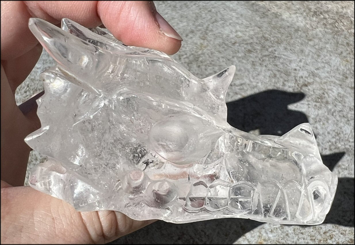 Quartz Dragon Crystal Skull with Tiny Golden Healer Hematite, Focus, Transformation