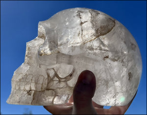 LifeSize Himalayan Quartz Crystal Skull with Chlorite, Hematite, Manganese streaking + Shimmery Rainbows