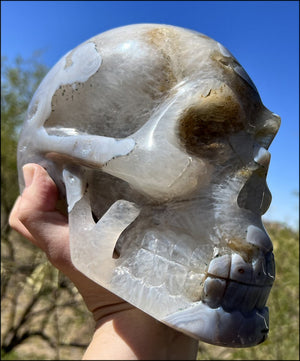 LifeSize Blue-Grey Agate GEODE Crystal Skull with Hematite+Chlorite inclusions, Sparkly Crystalline Formations