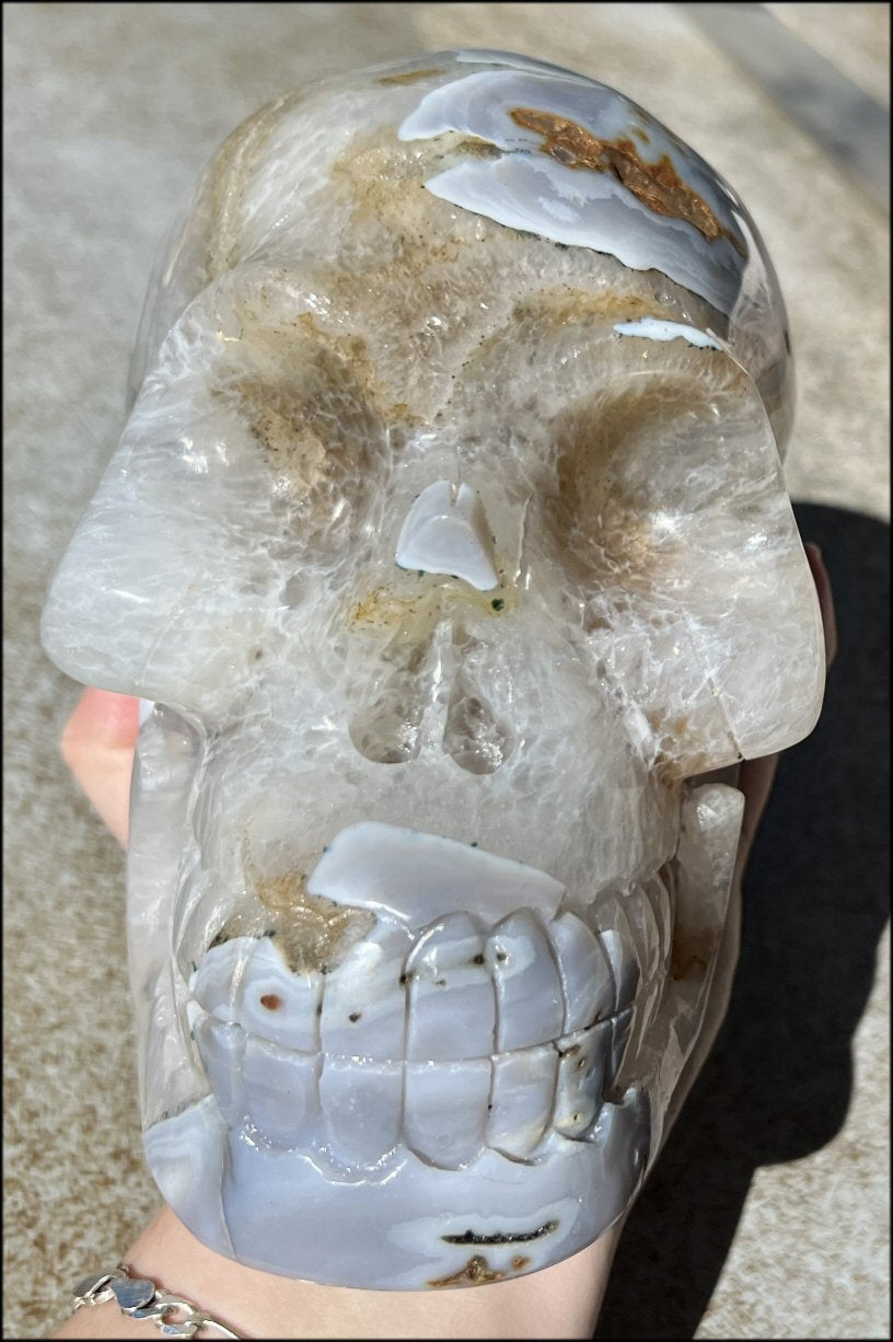 LifeSize Blue-Grey Agate GEODE Crystal Skull with Hematite+Chlorite inclusions, Sparkly Crystalline Formations