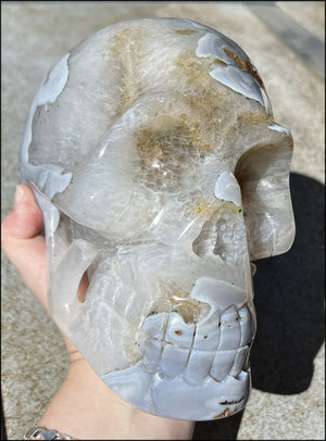 LifeSize Blue-Grey Agate GEODE Crystal Skull with Hematite+Chlorite inclusions, Sparkly Crystalline Formations