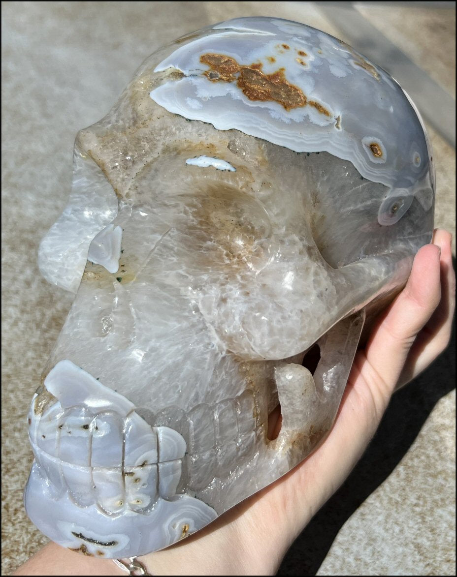 LifeSize Blue-Grey Agate GEODE Crystal Skull with Hematite+Chlorite inclusions, Sparkly Crystalline Formations