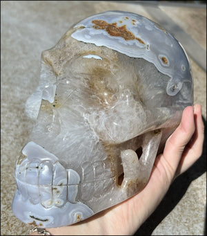 LifeSize Blue-Grey Agate GEODE Crystal Skull with Hematite+Chlorite inclusions, Sparkly Crystalline Formations