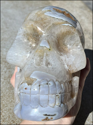 LifeSize Blue-Grey Agate GEODE Crystal Skull with Hematite+Chlorite inclusions, Sparkly Crystalline Formations