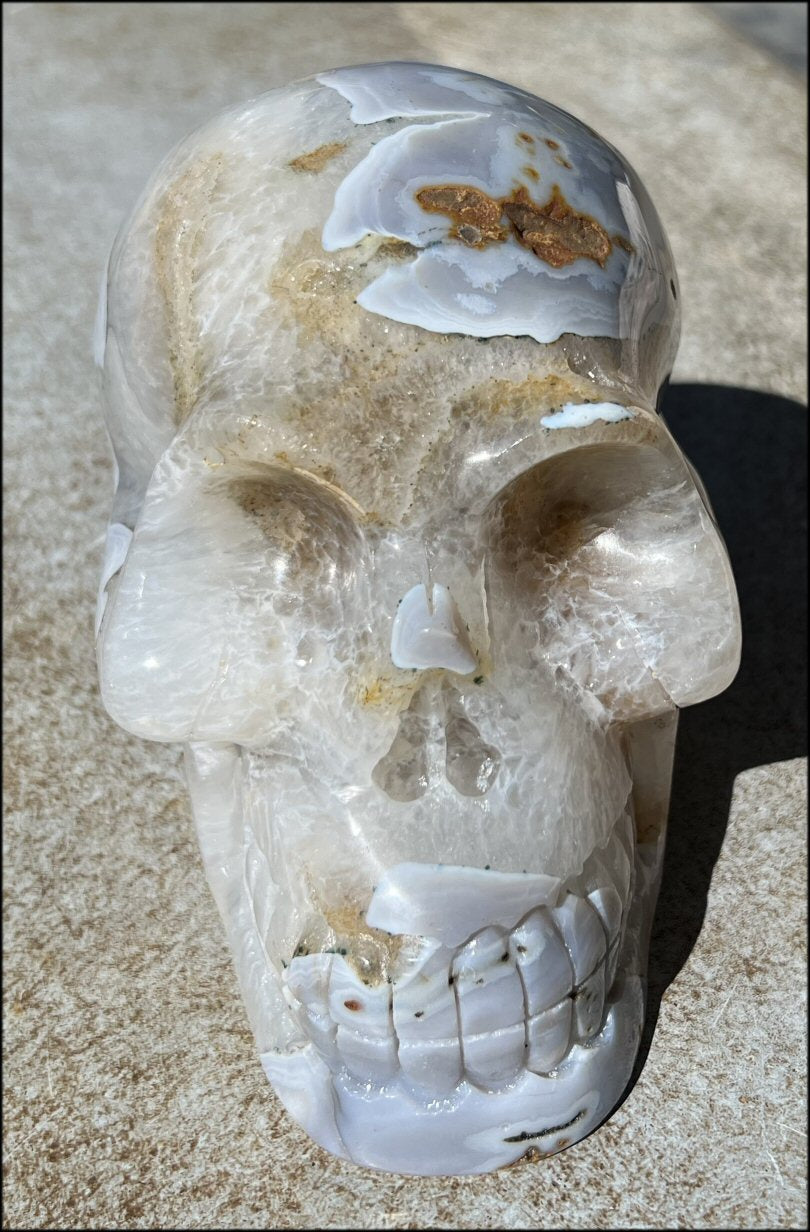 LifeSize Blue-Grey Agate GEODE Crystal Skull with Hematite+Chlorite inclusions, Sparkly Crystalline Formations