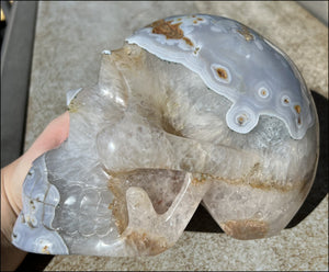 LifeSize Blue-Grey Agate GEODE Crystal Skull with Hematite+Chlorite inclusions, Sparkly Crystalline Formations