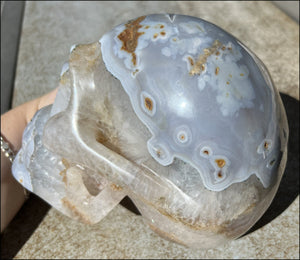 LifeSize Blue-Grey Agate GEODE Crystal Skull with Hematite+Chlorite inclusions, Sparkly Crystalline Formations