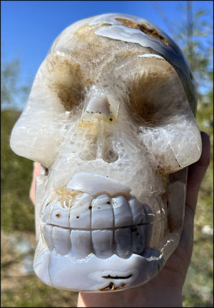 LifeSize Blue-Grey Agate GEODE Crystal Skull with Hematite+Chlorite inclusions, Sparkly Crystalline Formations