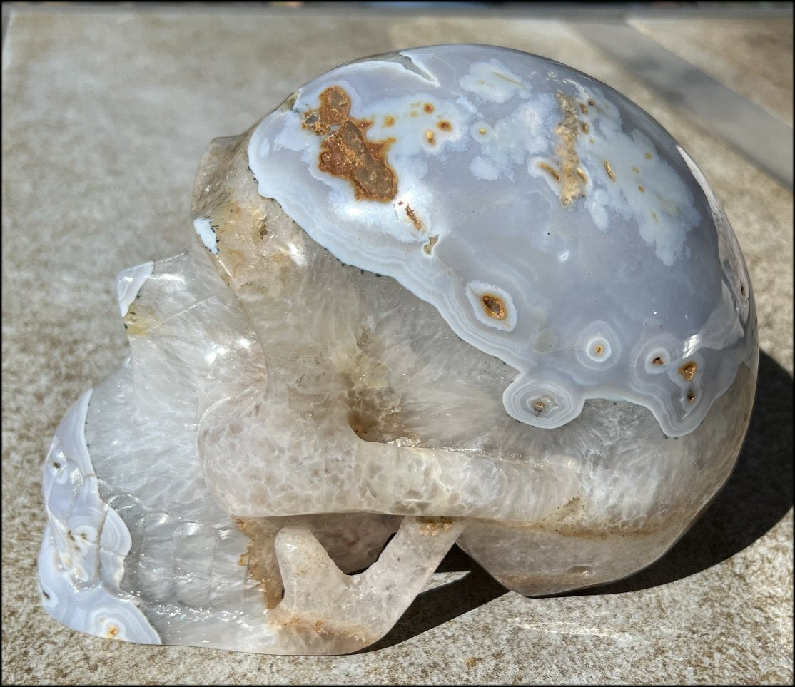 LifeSize Blue-Grey Agate GEODE Crystal Skull with Hematite+Chlorite inclusions, Sparkly Crystalline Formations