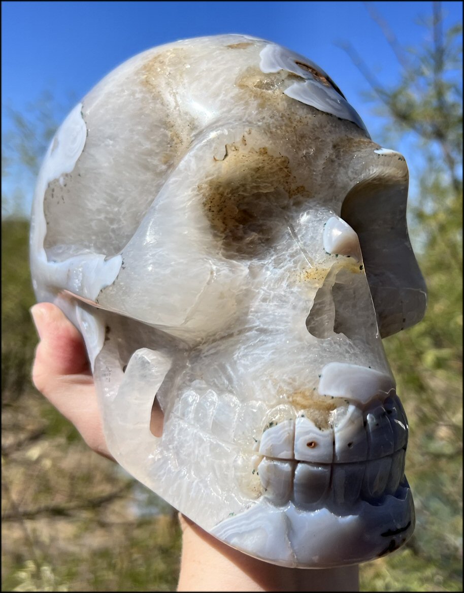 LifeSize Blue-Grey Agate GEODE Crystal Skull with Hematite+Chlorite inclusions, Sparkly Crystalline Formations