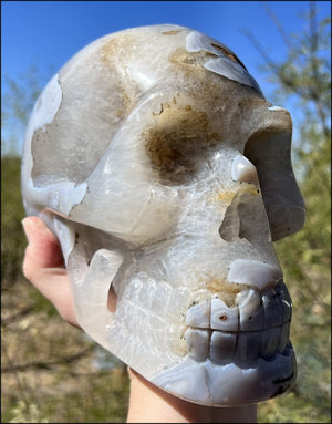 LifeSize Blue-Grey Agate GEODE Crystal Skull with Hematite+Chlorite inclusions, Sparkly Crystalline Formations