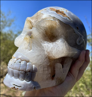 LifeSize Blue-Grey Agate GEODE Crystal Skull with Hematite+Chlorite inclusions, Sparkly Crystalline Formations