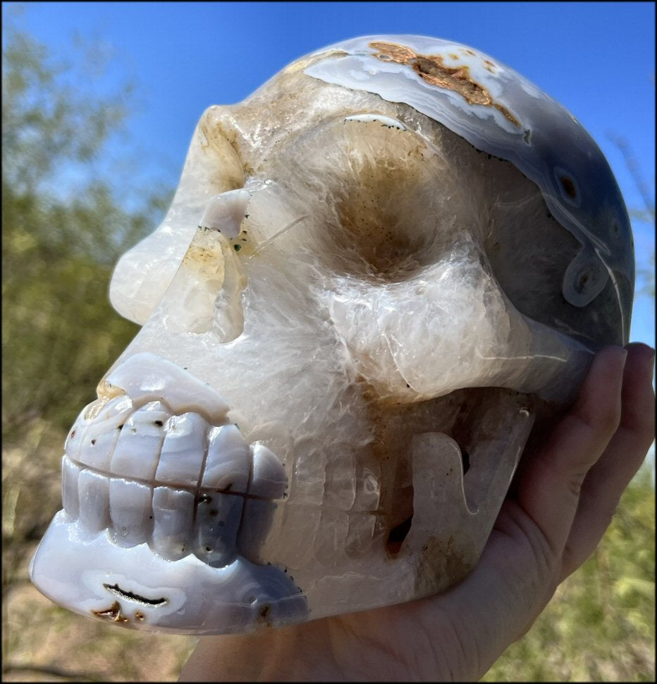 LifeSize Blue-Grey Agate GEODE Crystal Skull with Hematite+Chlorite inclusions, Sparkly Crystalline Formations