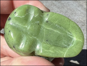 Nephrite Jade CRYSTAL SKULL - Combat negative thoughts, Heart Chakra