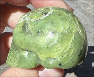 Nephrite Jade CRYSTAL SKULL - Combat negative thoughts, Heart Chakra