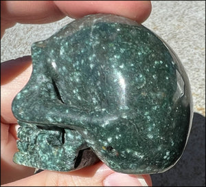 Ocean Jasper CRYSTAL SKULL - Protection, Heart Chakra