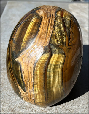 ~Shimmery~ LifeSize TIGER IRON Crystal Skull with Blue Tiger's Eye inclusion, Lots of Hematite and Yellow Jasper