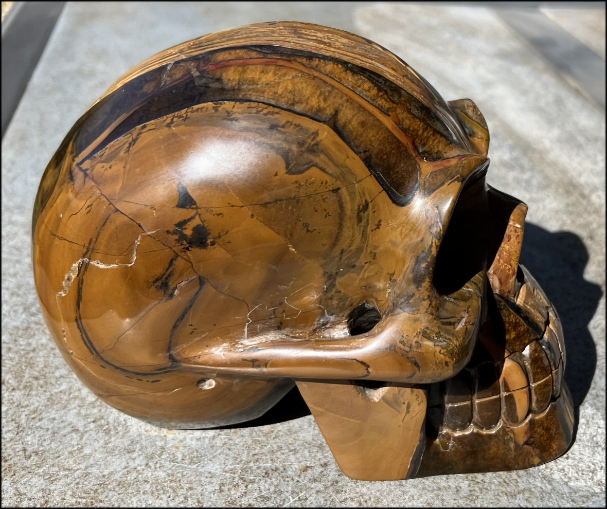 ~Shimmery~ LifeSize TIGER IRON Crystal Skull with Blue Tiger's Eye inclusion, Lots of Hematite and Yellow Jasper