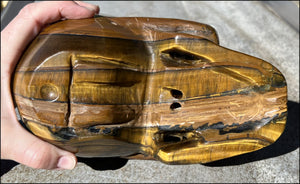 ~Shimmery~ LifeSize TIGER IRON Crystal Skull with Blue Tiger's Eye inclusion, Lots of Hematite and Yellow Jasper