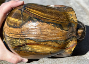 ~Shimmery~ LifeSize TIGER IRON Crystal Skull with Blue Tiger's Eye inclusion, Lots of Hematite and Yellow Jasper