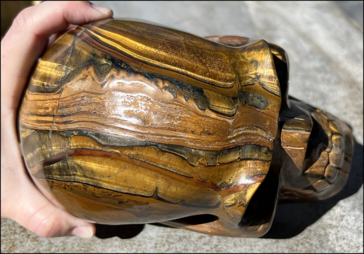 ~Shimmery~ LifeSize TIGER IRON Crystal Skull with Blue Tiger's Eye inclusion, Lots of Hematite and Yellow Jasper