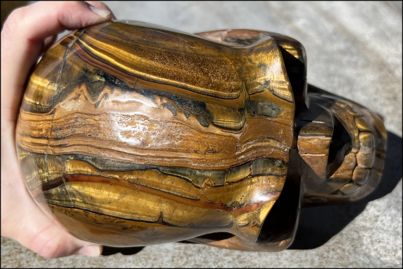 ~Shimmery~ LifeSize TIGER IRON Crystal Skull with Blue Tiger's Eye inclusion, Lots of Hematite and Yellow Jasper