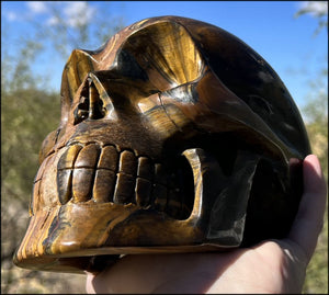 ~Shimmery~ LifeSize TIGER IRON Crystal Skull with Blue Tiger's Eye inclusion, Lots of Hematite and Yellow Jasper