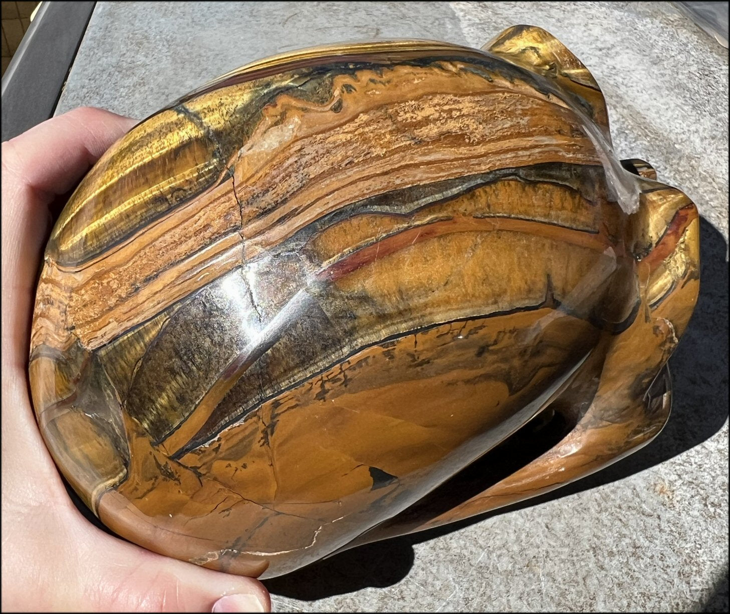 ~Shimmery~ LifeSize TIGER IRON Crystal Skull with Blue Tiger's Eye inclusion, Lots of Hematite and Yellow Jasper