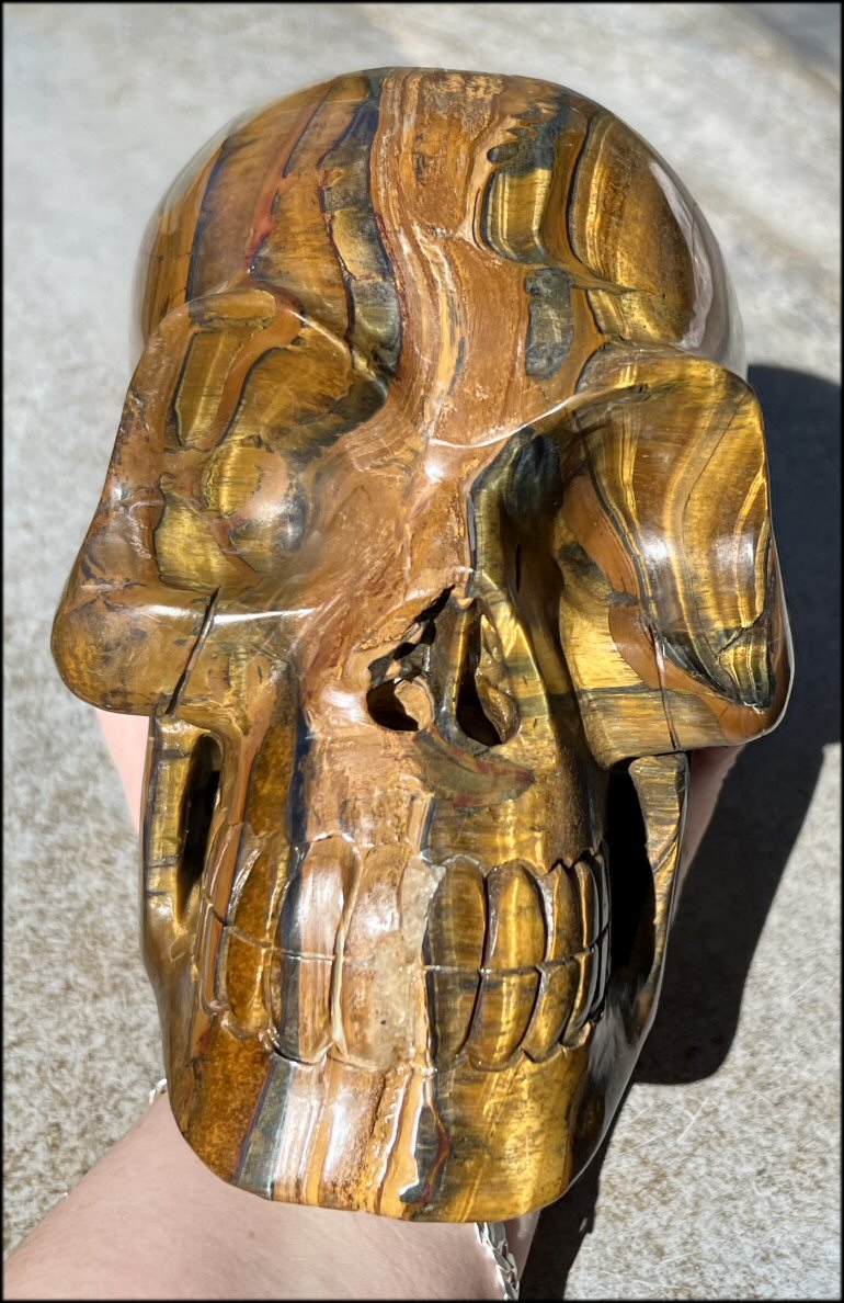 ~Shimmery~ LifeSize TIGER IRON Crystal Skull with Blue Tiger's Eye inclusion, Lots of Hematite and Yellow Jasper