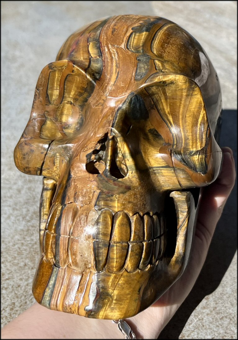 ~Shimmery~ LifeSize TIGER IRON Crystal Skull with Blue Tiger's Eye inclusion, Lots of Hematite and Yellow Jasper