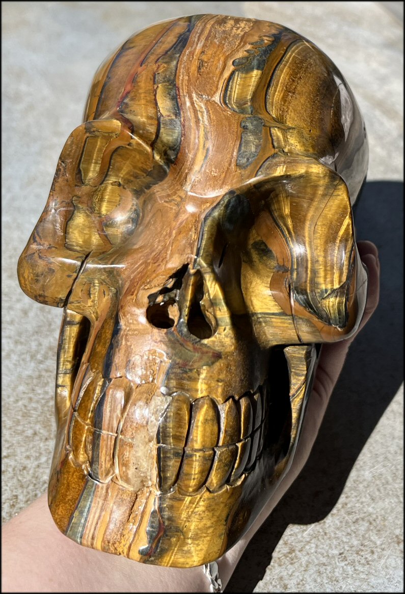 ~Shimmery~ LifeSize TIGER IRON Crystal Skull with Blue Tiger's Eye inclusion, Lots of Hematite and Yellow Jasper