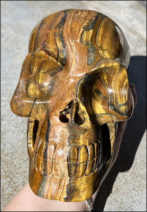 ~Shimmery~ LifeSize TIGER IRON Crystal Skull with Blue Tiger's Eye inclusion, Lots of Hematite and Yellow Jasper