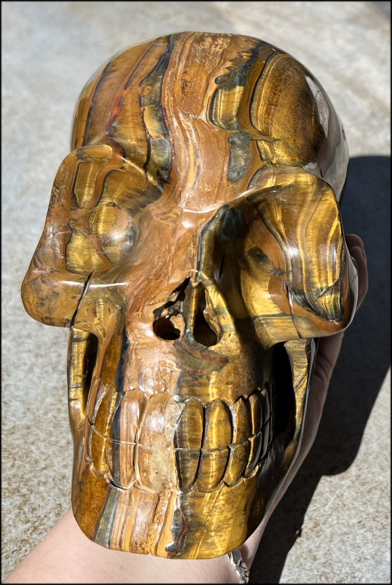 ~Shimmery~ LifeSize TIGER IRON Crystal Skull with Blue Tiger's Eye inclusion, Lots of Hematite and Yellow Jasper