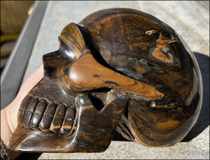 ~Shimmery~ LifeSize TIGER IRON Crystal Skull with Blue Tiger's Eye inclusion, Lots of Hematite and Yellow Jasper