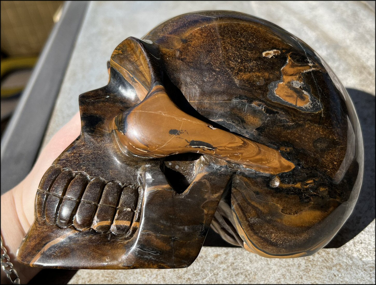 ~Shimmery~ LifeSize TIGER IRON Crystal Skull with Blue Tiger's Eye inclusion, Lots of Hematite and Yellow Jasper