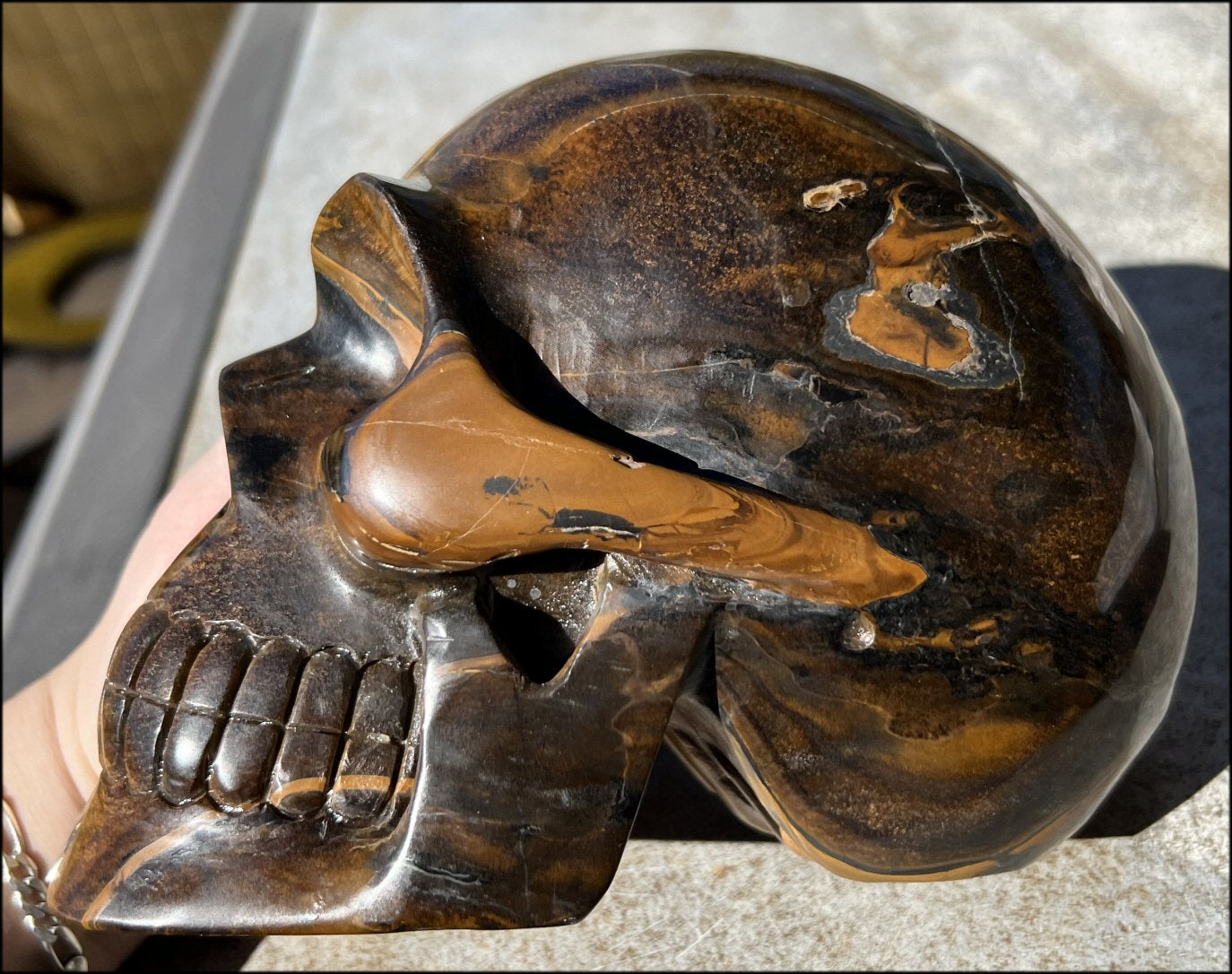 ~Shimmery~ LifeSize TIGER IRON Crystal Skull with Blue Tiger's Eye inclusion, Lots of Hematite and Yellow Jasper