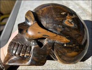 ~Shimmery~ LifeSize TIGER IRON Crystal Skull with Blue Tiger's Eye inclusion, Lots of Hematite and Yellow Jasper