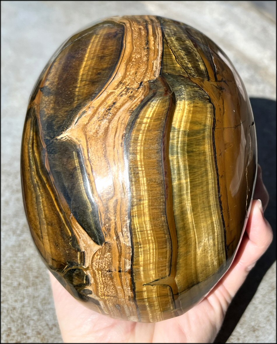 ~Shimmery~ LifeSize TIGER IRON Crystal Skull with Blue Tiger's Eye inclusion, Lots of Hematite and Yellow Jasper