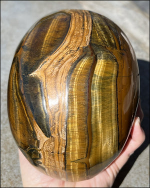 ~Shimmery~ LifeSize TIGER IRON Crystal Skull with Blue Tiger's Eye inclusion, Lots of Hematite and Yellow Jasper