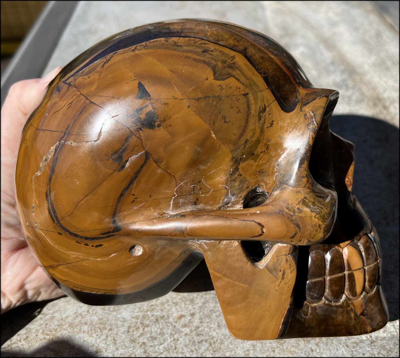 ~Shimmery~ LifeSize TIGER IRON Crystal Skull with Blue Tiger's Eye inclusion, Lots of Hematite and Yellow Jasper