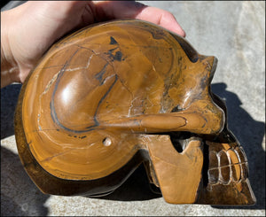 ~Shimmery~ LifeSize TIGER IRON Crystal Skull with Blue Tiger's Eye inclusion, Lots of Hematite and Yellow Jasper