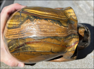 ~Shimmery~ LifeSize TIGER IRON Crystal Skull with Blue Tiger's Eye inclusion, Lots of Hematite and Yellow Jasper