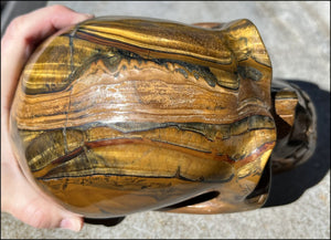 ~Shimmery~ LifeSize TIGER IRON Crystal Skull with Blue Tiger's Eye inclusion, Lots of Hematite and Yellow Jasper