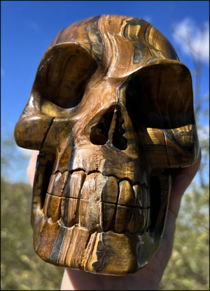 ~Shimmery~ LifeSize TIGER IRON Crystal Skull with Blue Tiger's Eye inclusion, Lots of Hematite and Yellow Jasper