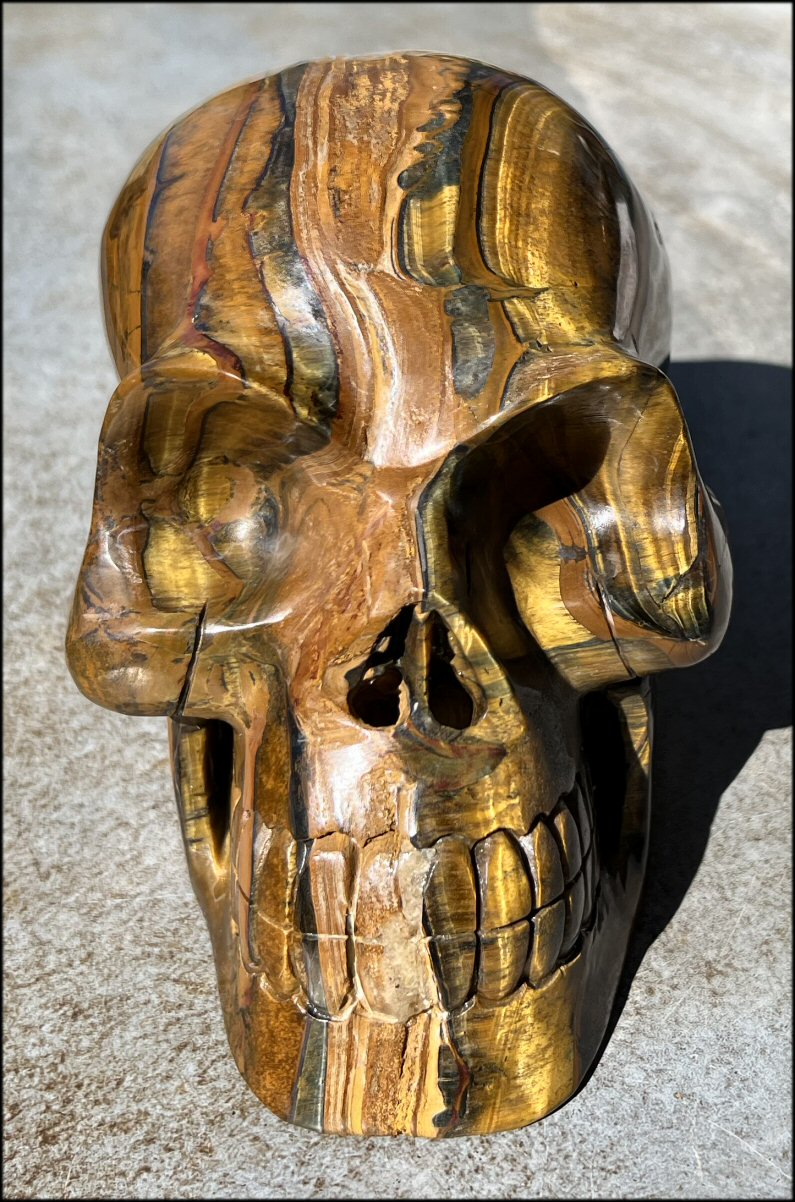 ~Shimmery~ LifeSize TIGER IRON Crystal Skull with Blue Tiger's Eye inclusion, Lots of Hematite and Yellow Jasper