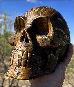 ~Shimmery~ LifeSize TIGER IRON Crystal Skull with Blue Tiger's Eye inclusion, Lots of Hematite and Yellow Jasper