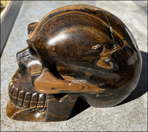 ~Shimmery~ LifeSize TIGER IRON Crystal Skull with Blue Tiger's Eye inclusion, Lots of Hematite and Yellow Jasper