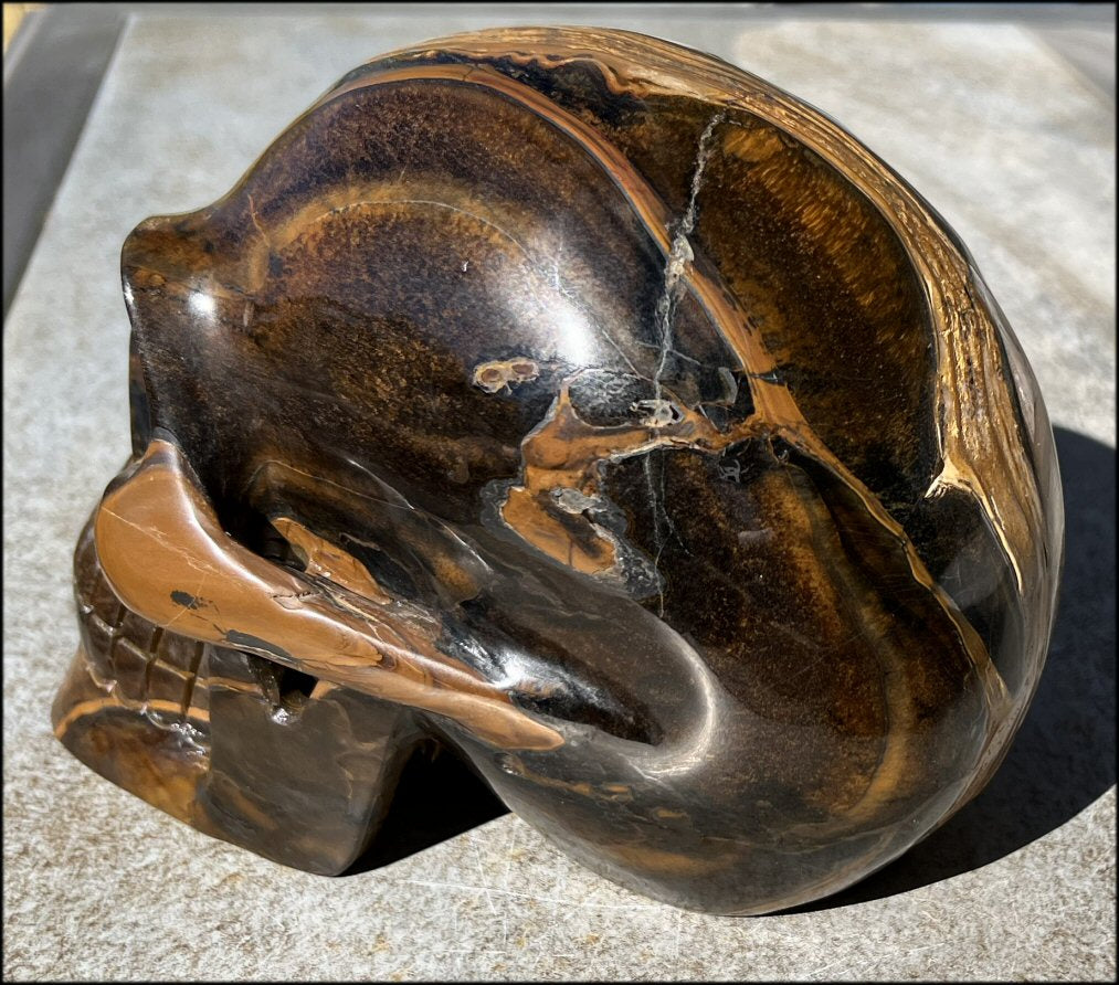 ~Shimmery~ LifeSize TIGER IRON Crystal Skull with Blue Tiger's Eye inclusion, Lots of Hematite and Yellow Jasper